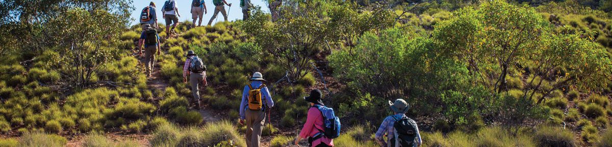 Hike along ridgelines on the Larapinta Trail in the Northern Territory.