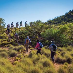 Hike along ridgelines on the Larapinta Trail in the Northern Territory.